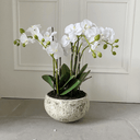 Artificial Orchid Arrangements - The Irish Country Home
