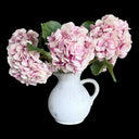 Autumn Collection - Preserved Beech