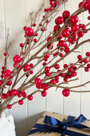 Festive Red Berry Stem Bunch
