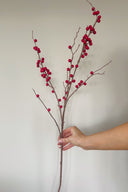 Festive Red Berry Stem Bunch