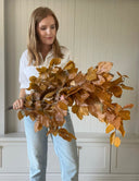 Preserved Autumnal Beech Gold - The Irish Country Home