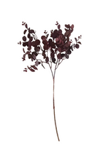 Faux Burgundy Eucalyptus