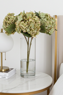 Balmoral Green Hydrangea