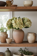 Balmoral Green Hydrangea