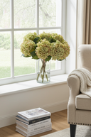 Balmoral Green Hydrangea