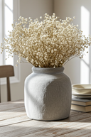 Bunch of Dried Baby's Breath