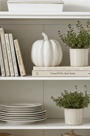 Ceramic Pumpkin 15.5cm - The Irish Country Home