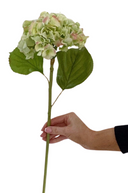 Faux Green Dried Hydrangea Stem