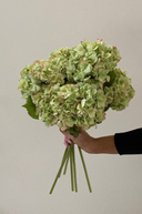 Faux Green Dried Hydrangea Stem