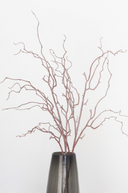 Tall Willow Branch Stem