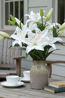 Fresh Touch White Lily