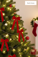 Red Velvet Bow 21cm Set of 6