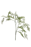 Faux Asparagus Fern Stem — 110cm