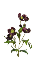Faux Silk Burgundy Helleborus Flower Stem