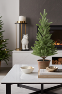 Tabletop Pine Tree in Brown Pot 42cm