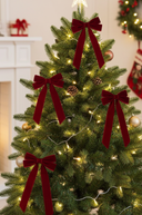 Burgundy Velvet Bows 21cm Set of 6