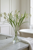 White Fritillaria Stem