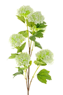 Faux White Snowball Viburnum Spray