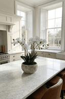 White Orchids in Clay Pot 47cm - The Irish Country Home