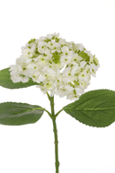 Small Faux Green & White Hydrangea - The Irish Country Home