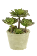 Faux Succulent Plant 19cm