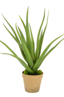 Faux Aloe Plant in Pot