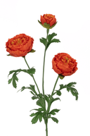 Faux Fluffy Orange Ranunculus Spray - The Irish Country Home