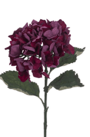 Faux Dried Burgundy Hydrangea Stem - The Irish Country Home