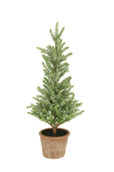 Frosted Pine Tree in Terracotta Pot 42cm - The Irish Country Home