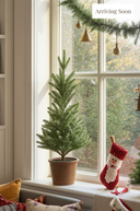 Tabletop Pine Tree in Brown Pot 42cm