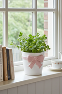 Pink Bow Planter, 18cm
