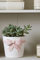 Pink Bow Planter, 18cm