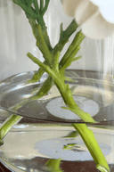 Sample Faux Water Arrangement with Minor Flaw - The Irish Country Home