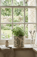 14cm Ceramic Foliage Planter - The Irish Country Home