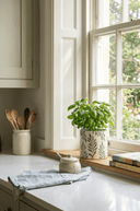 14cm Ceramic Foliage Planter - The Irish Country Home