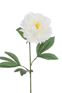 Faux White Peony Stem 80cm