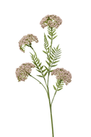 Faux Achillea Stem 60cm - The Irish Country Home