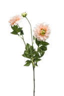 Faux Blush Dahlia Stem 72cm - The Irish Country Home