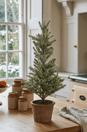 Frosted Pine Tree in Terracotta Pot 42cm - The Irish Country Home