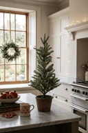 Frosted Pine Tree in Terracotta Pot 42cm - The Irish Country Home