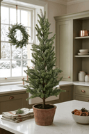 Frosted Pine Tree in Terracotta Pot 55cm - The Irish Country Home