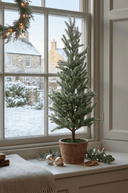 Frosted Pine Tree in Terracotta Pot 55cm - The Irish Country Home