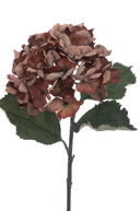 Faux Dried Brown Hydrangea Stem 60cm