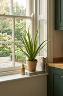 Faux Aloe Plant in Pot