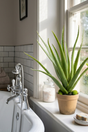 Faux Aloe Plant in Pot