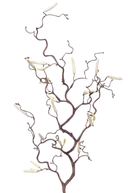 Faux Contorted Hazel Branch