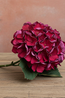 Close-up of a bouquet of red and pink hydrangeas on a wooden surface with a beige background.