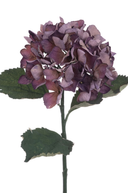 Faux Dried Plum Hydrangea Stem