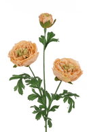 Faux Fluffy Peach Ranunculus Spray - The Irish Country Home