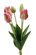 Faux Fresh Touch Tulip Bunch Mauve